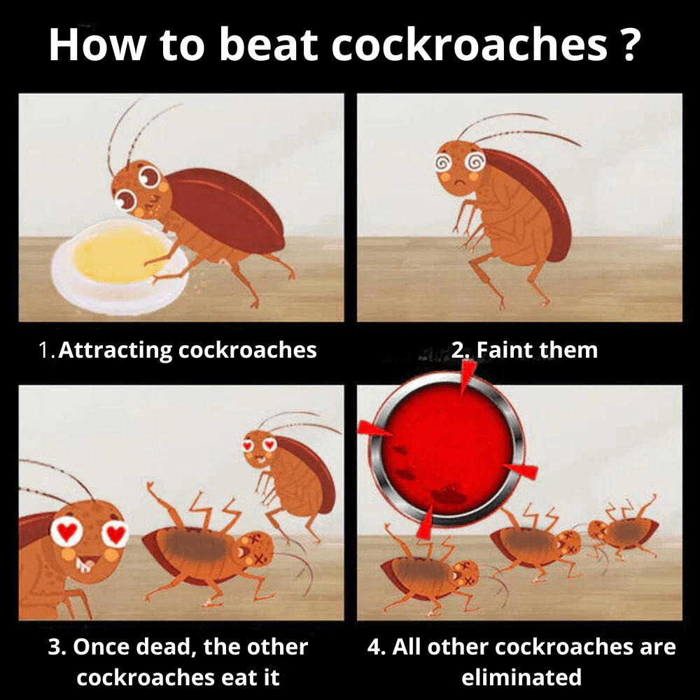 QUICKCATCH™ | Cockroach trap