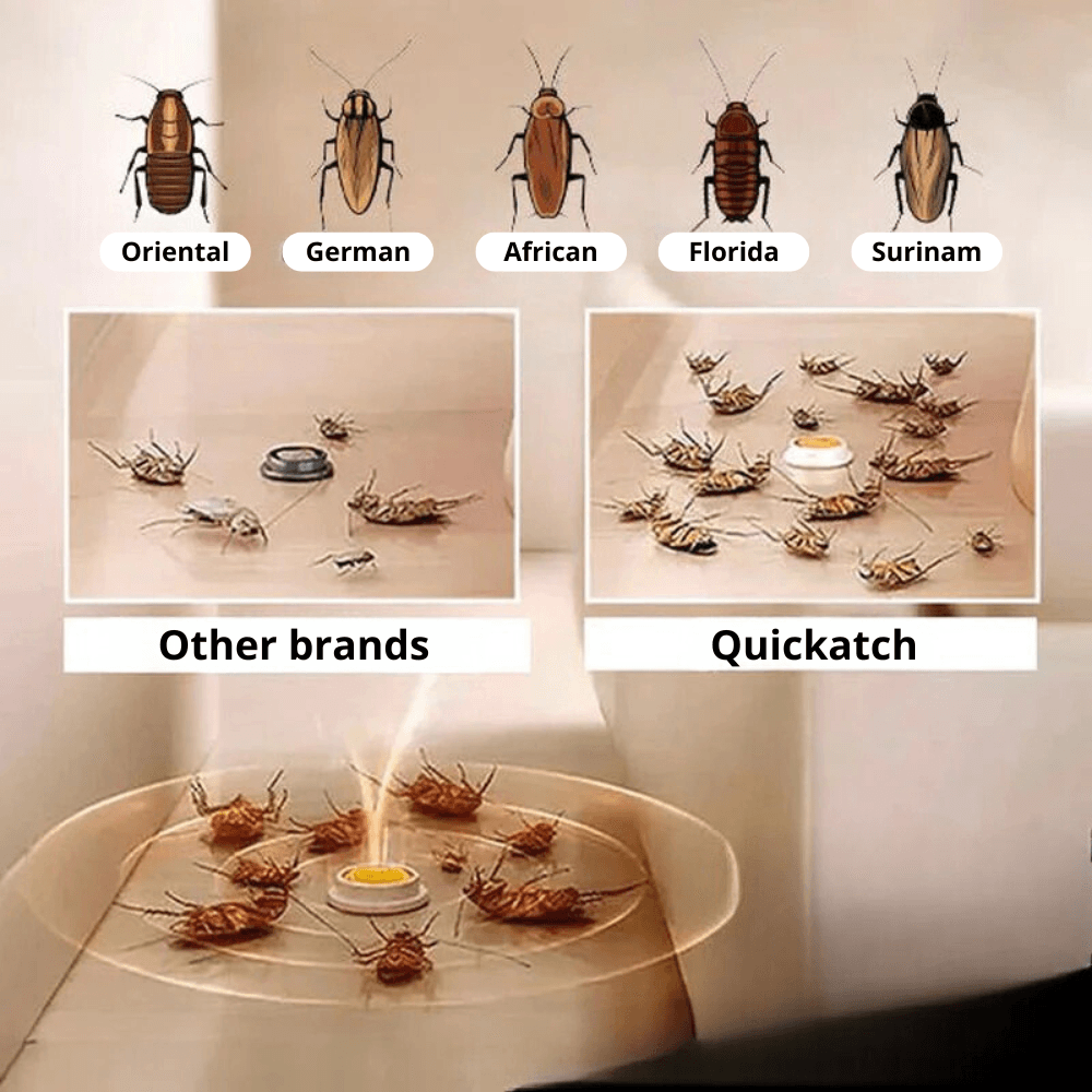 QUICKCATCH™ | Cockroach trap