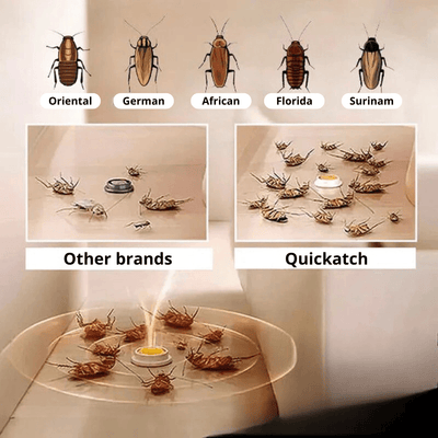 QUICKCATCH™ | Cockroach trap