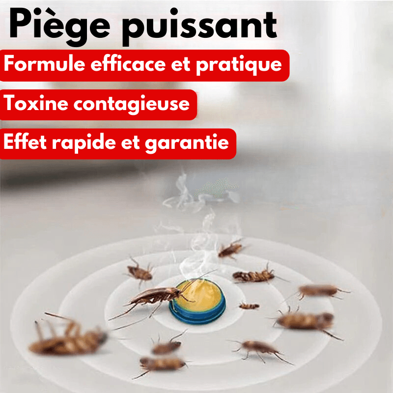 Piège à cafards toxique | QUICKCATCH