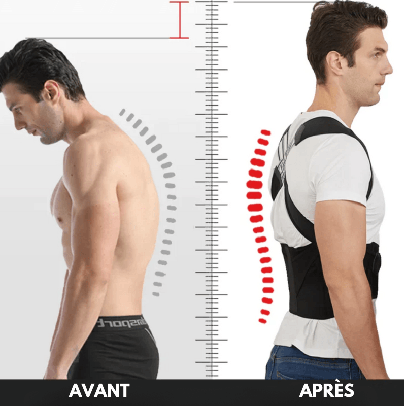 BackPerfect Ceinture anti dos courbe Zevessa
