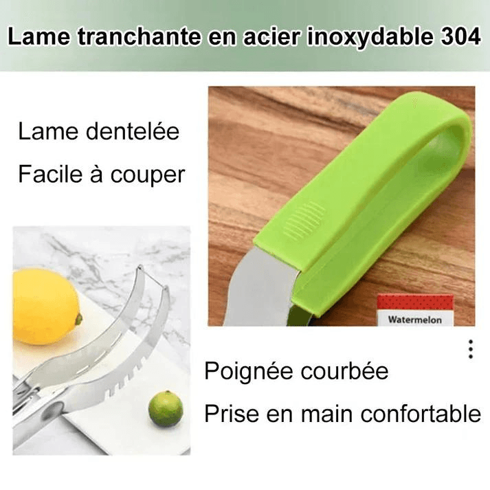 Stainless Steel Fruit Slicing Knife | CutMaster