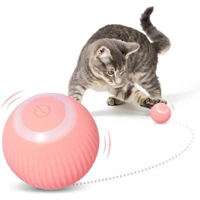 Balle et tapis interactifs| KittyFun Play - Zevessa