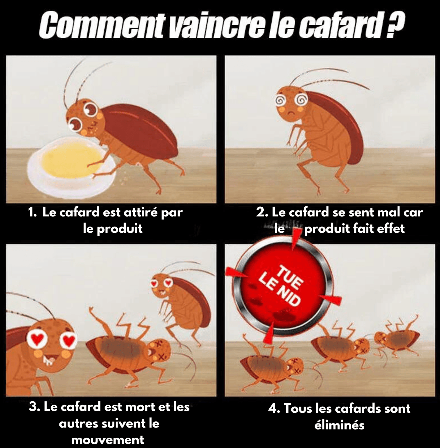 Piège à cafards toxique | QUICKCATCH