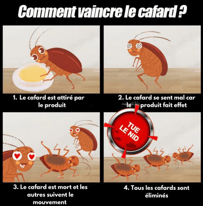 Piège à cafards toxique | QUICKCATCH