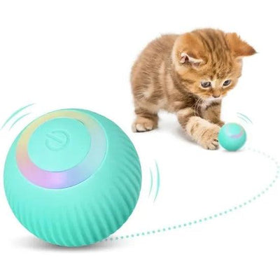 Balle et tapis interactifs| KittyFun Play - Zevessa