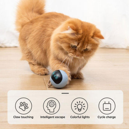 Balle de jeu auto-rotative pour chat - Zevessa