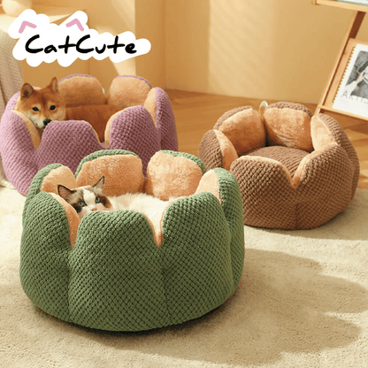 CatCute | Lit cactus confort pour chat - Zevessa