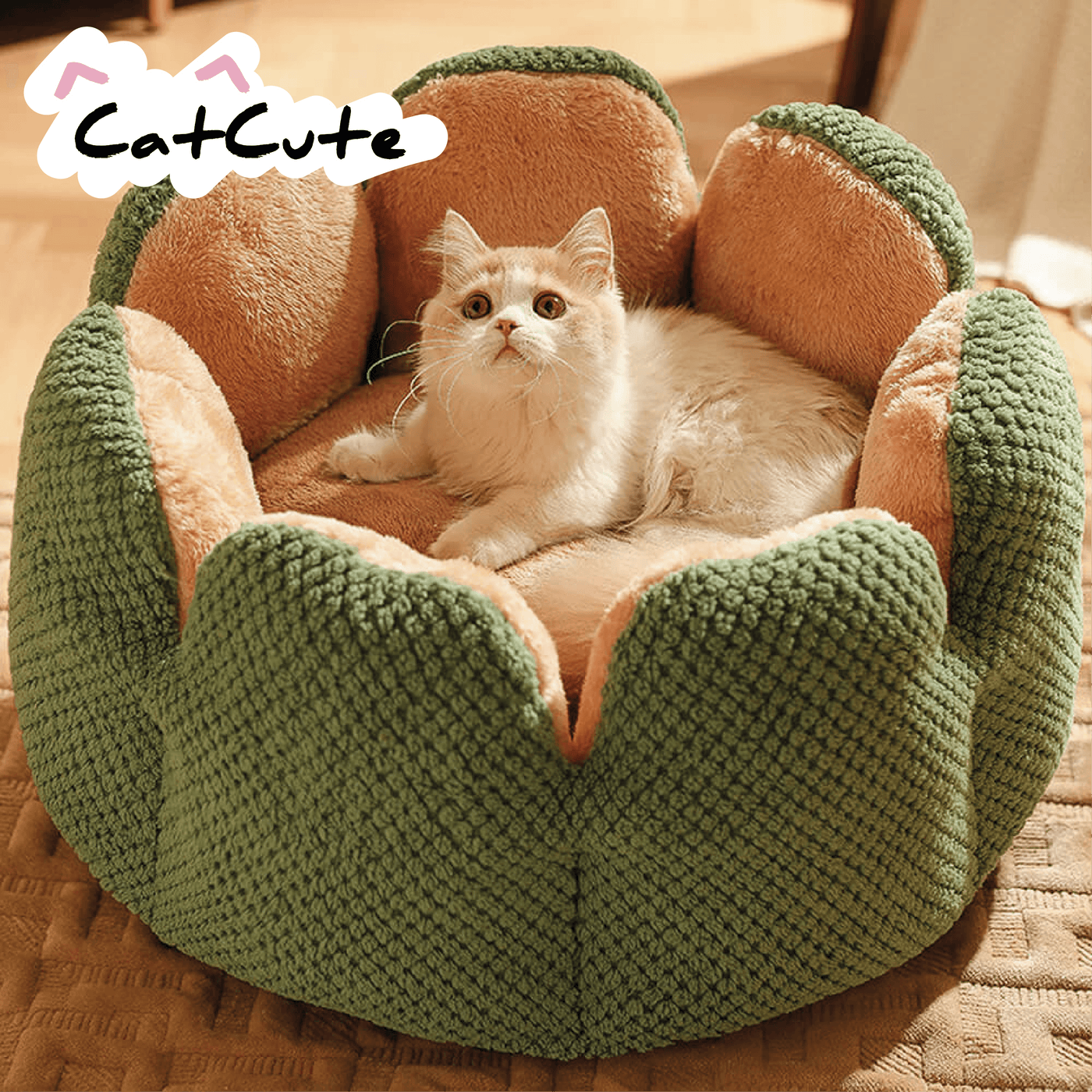 CatCute | Lit cactus confort pour chat - Zevessa