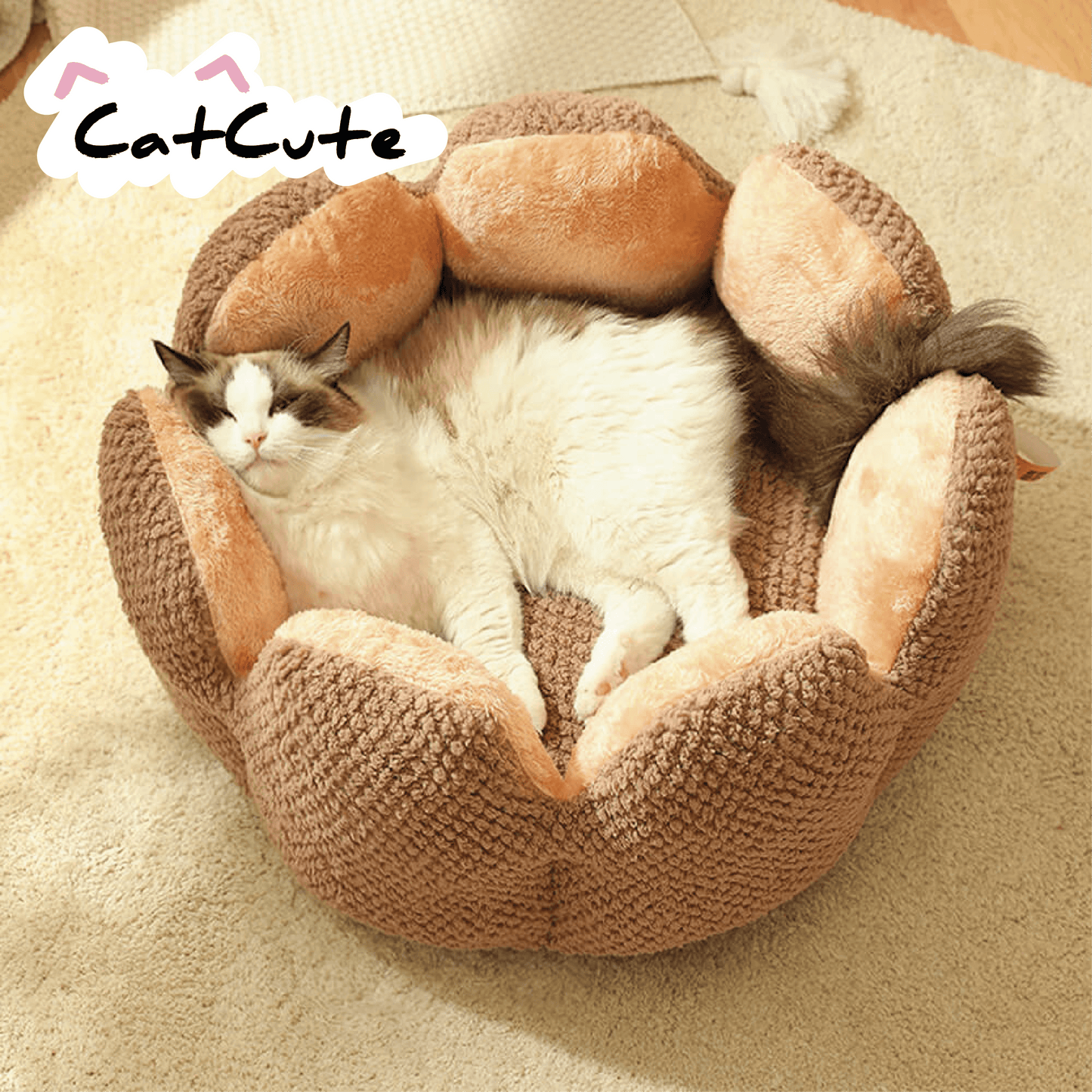 CatCute | Lit cactus confort pour chat - Zevessa