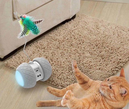 Jouet Intelligent Interactif pour Chat - Zevessa