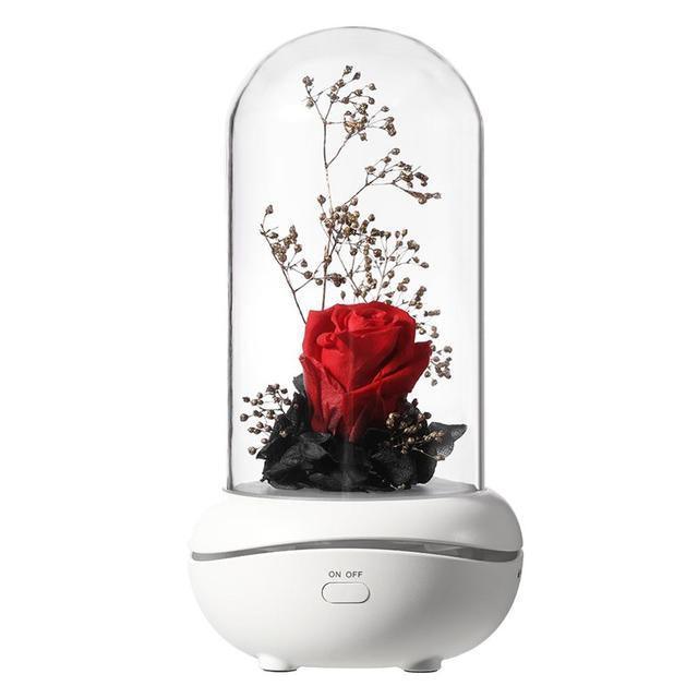 Lampe LED Colorée - Fleur Éternelle - Zevessa