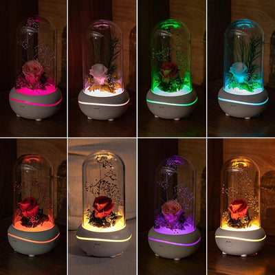 Lampe LED Colorée - Fleur Éternelle - Zevessa