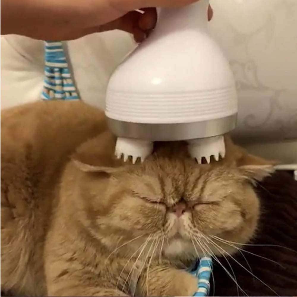 Machine à massage pour chats - Zevessa