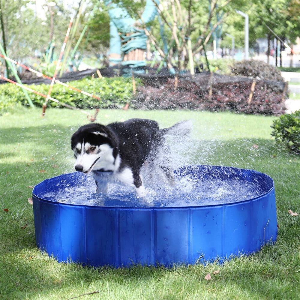 Piscine pliable pour animaux de compagnie - Zevessa