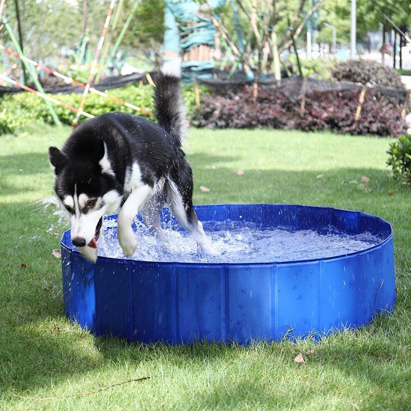 Piscine pliable pour animaux de compagnie - Zevessa