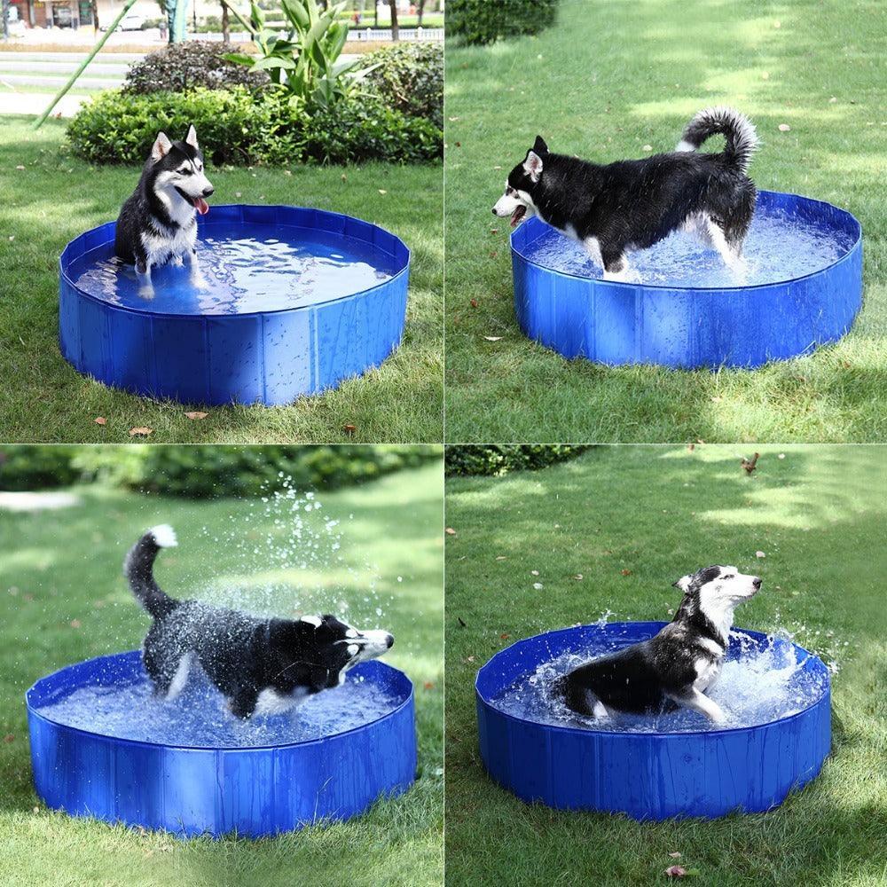 Piscine pliable pour animaux de compagnie - Zevessa