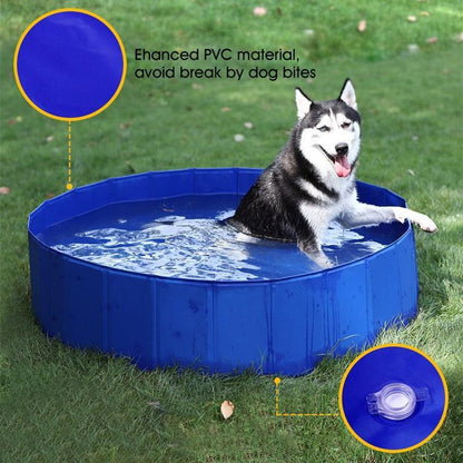 Piscine pliable pour animaux de compagnie - Zevessa